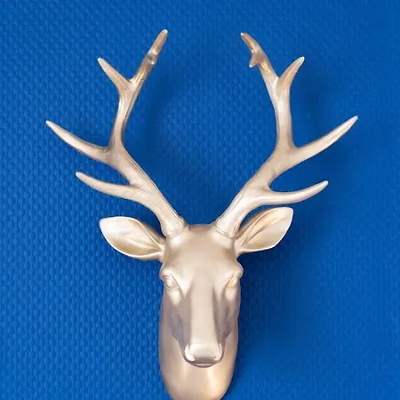 Casa de Férias Maison La Majorelle - 90m2 - Garage Et Terrasse Pamiers