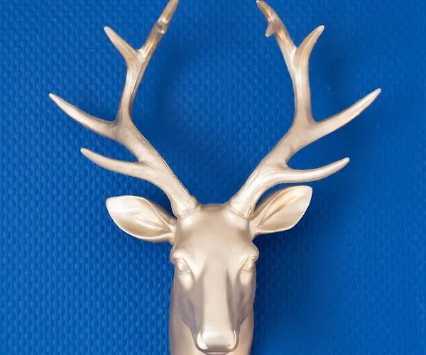 Dom wakacyjny Maison La Majorelle - 90m2 - Garage Et Terrasse Pamiers